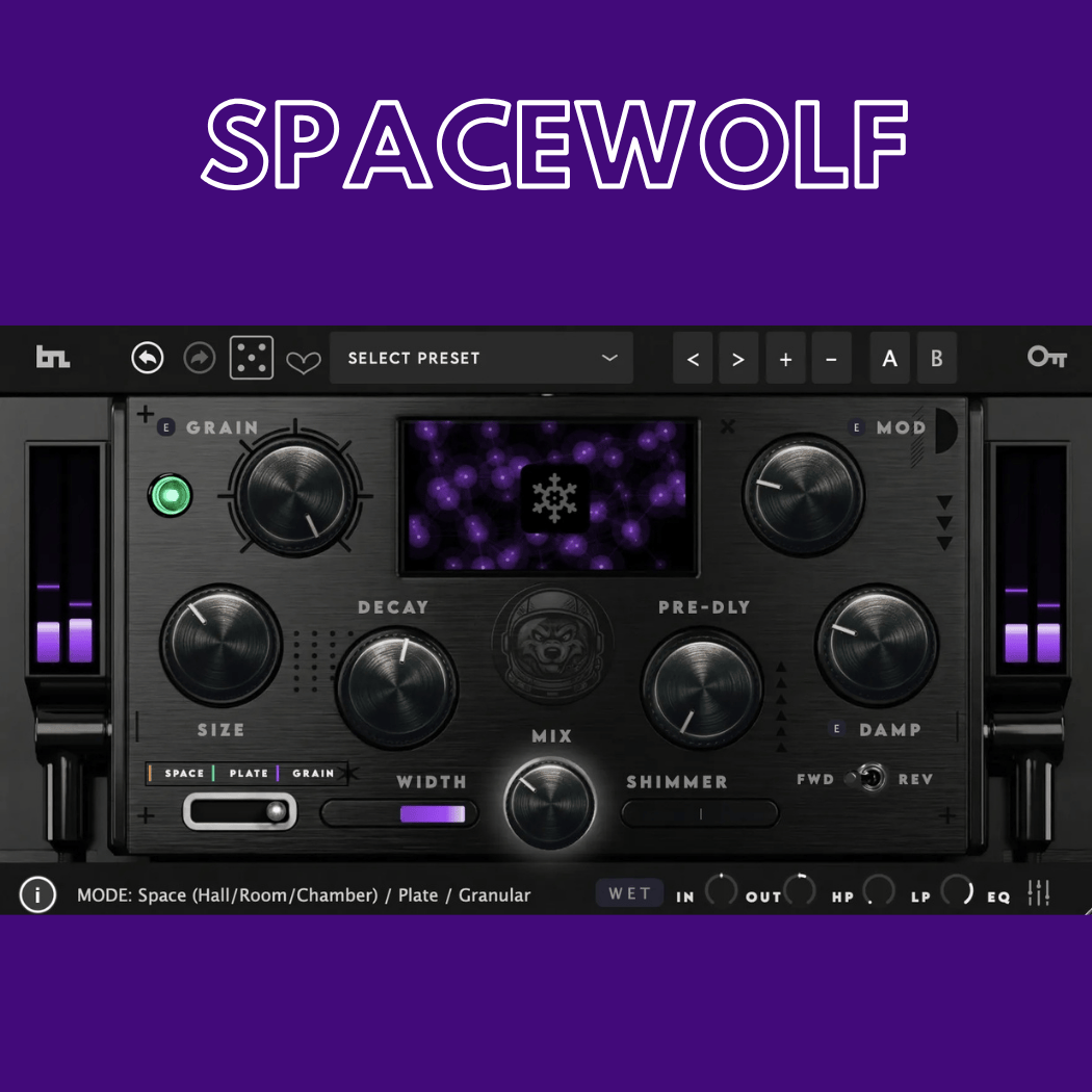 SpaceWolf – BeatSkillz